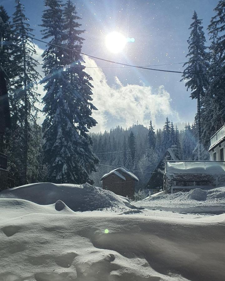 Jahorina Villa In Kültér fotó